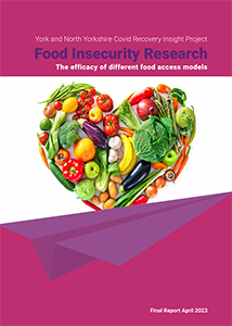 Food Insecurity microsote screen shot