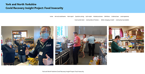 Food Insecurity microsite screenshot