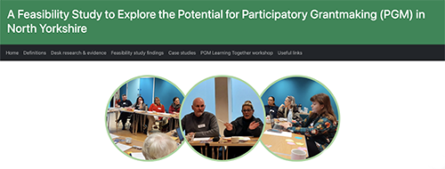 Participatory Grantmaking screenshot
